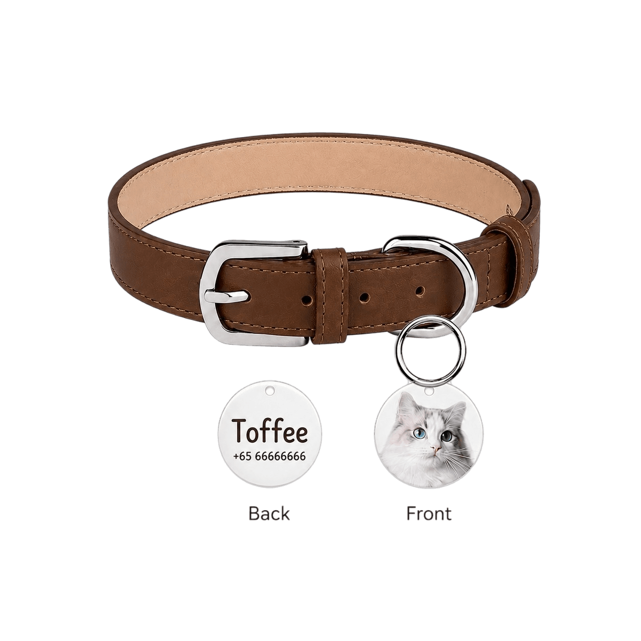 Pet collar accessories