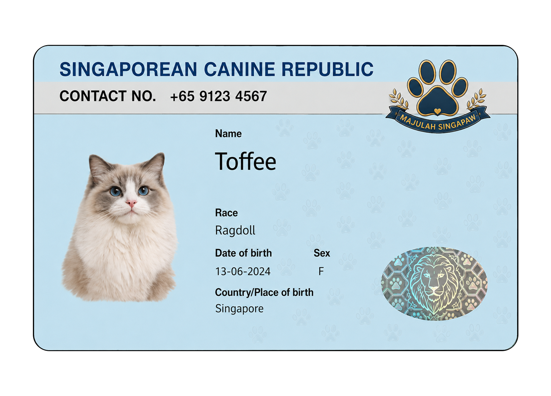 Custom pet ID card