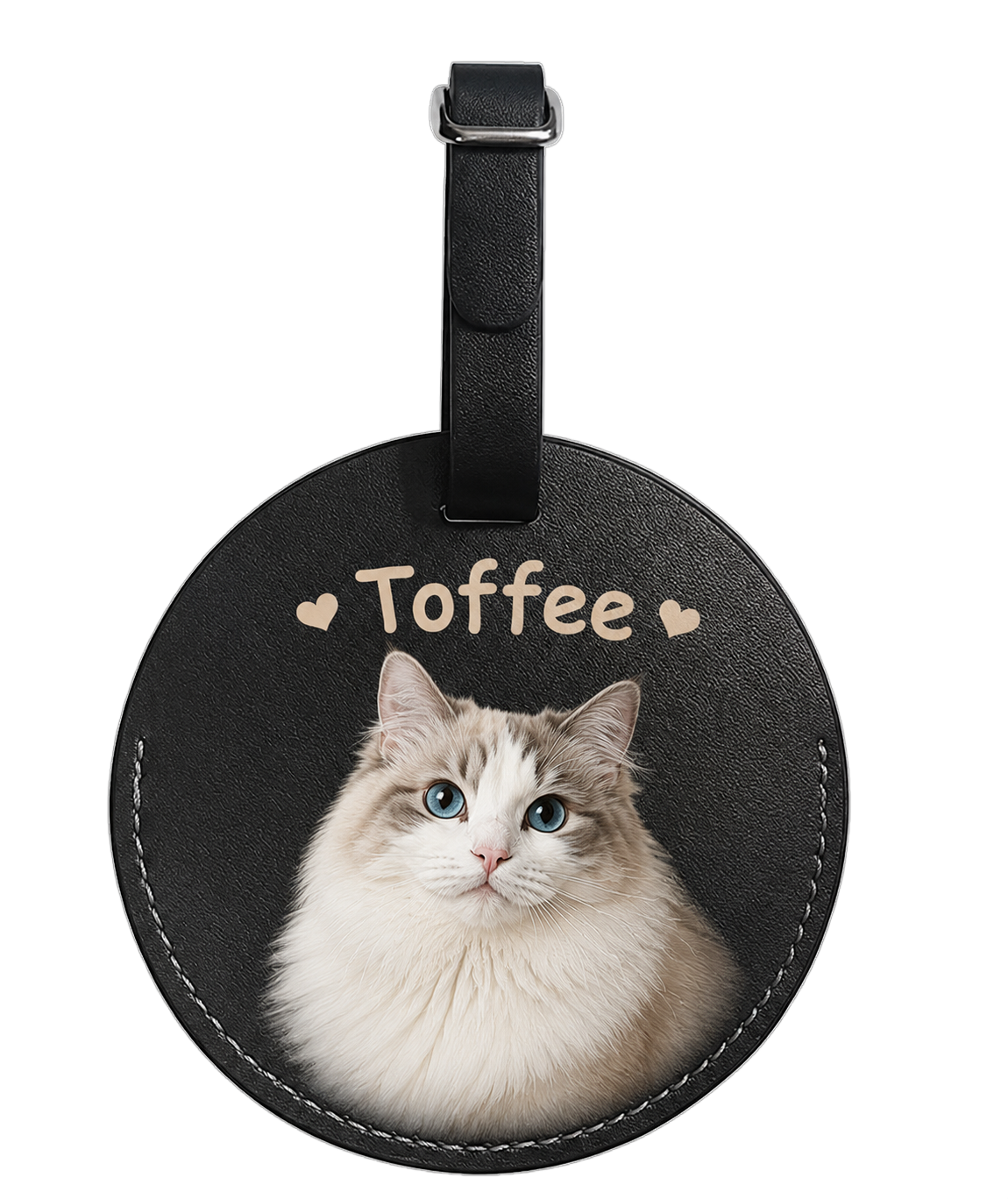 Pet luggage tag